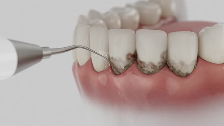 Reliable Dental contractor in Richton, MS by Dentist Open Now